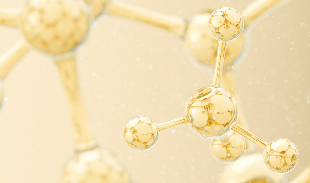 【合作发表】|卡介苗诱导的单核细胞样THP-1细胞训练免疫（trained immunity）体外模型的建立