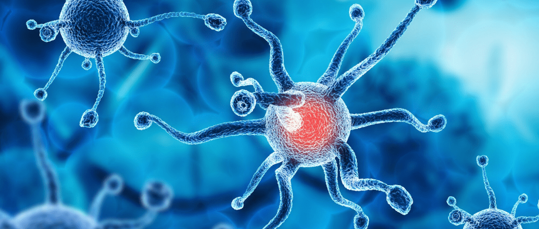 【科普】DC细胞：肿瘤治疗的希望之光，免疫细胞家族的明星