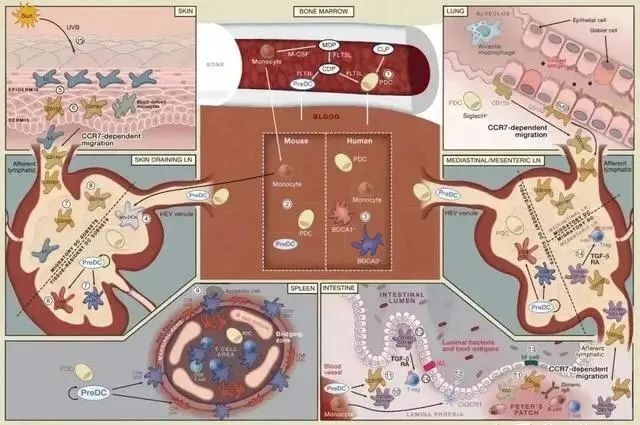 微信图片_20250716111648 微信图片_20250716111648