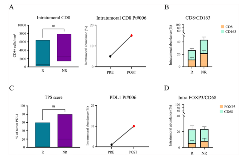 微信图片_2025-08-04_152442_815 微信图片_2025-08-04_152442_815