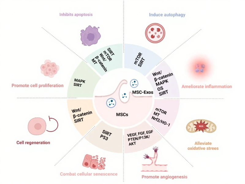 微信图片_2025-08-04_155406_497