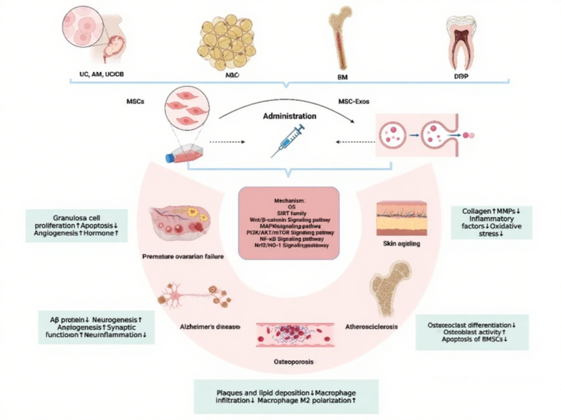 微信图片_2025-08-04_155408_894