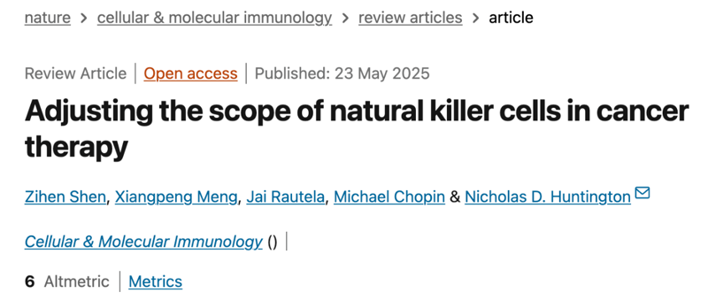 被低估的NK细胞：不止会杀癌，更是免疫战局的 “副攻手”