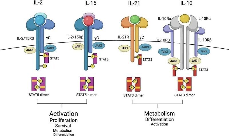 微信图片_2025-08-05_132215_071 微信图片_2025-08-05_132215_071