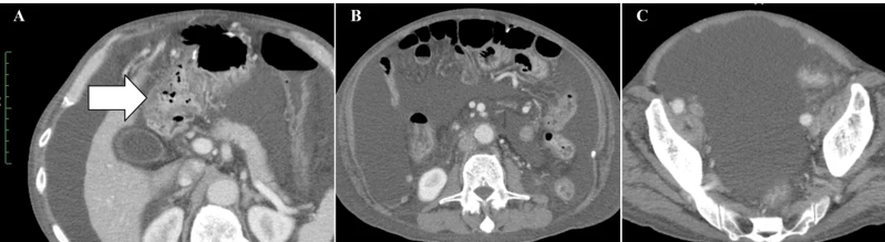 微信图片_2025-08-06_132239_557 微信图片_2025-08-06_132239_557