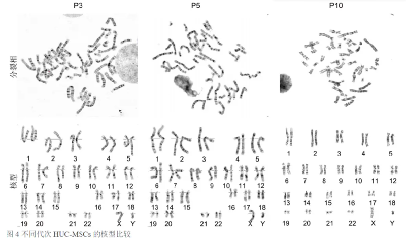 wechat_2025-09-12_150938_459