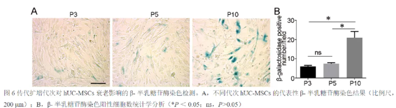 wechat_2025-09-12_151259_532